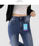 Color Raw Cotton Denim Slim Semi Bootcut Pants