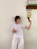 Harletter Star Embroidered Crop Short Sleeve Tee