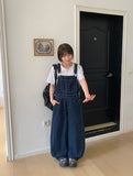 Colind Overall Denim Pants