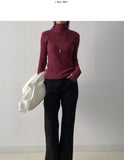 Stripe Warmer Turtleneck T-Shirt