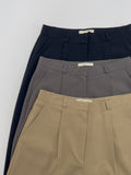 [Setup Available] Lumiere One-Tuck Wide Slacks