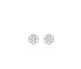 Essence Silver (W) Moissanite Eclat Earrings