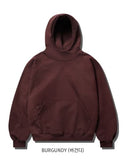 Arc Neck Hoodie