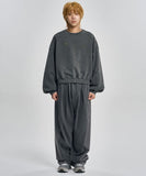 Vintage Panel Cropped Sweatshirt