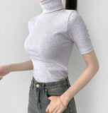 Neck Polar Slim Fit Short Sleeve Inner T-Shirt