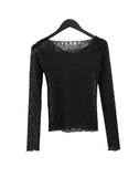 Brin See-through Lace Top