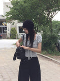 Asso Stripe Lace Puff Bolero Slim Short Sleeve T-Shirt