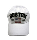Boston pig washing ball cap