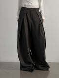 Zvel Inverted Pleated Slacks