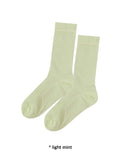 SEE-THROUGH COLORY SOCKS