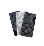Star paisley scarf
