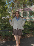 Melo Pleats Checkered Pantskirt