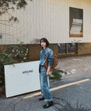 Flood cat brush western denim shirt