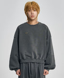 Vintage Panel Cropped Sweatshirt