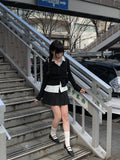 Setter Pleated Mini Skirt
