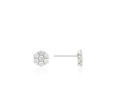 Essence Silver (W) Moissanite Eclat Earrings