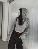 Fran Soft Wool Crop Knit Hoodie