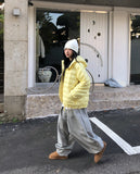 Pebble Heavy Pintuck Balloon Sweatpants