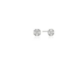 Essence Silver (W) Moissanite Floria Earrings