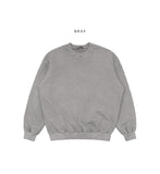 Lutz Pigment Overfit Sweatshirt