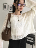 Api Wav Punching See-Through Rib Neck Long Sleeve Knit