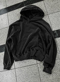 Brens Pigment Crop Hoodie