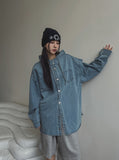 Ordi Snap Over Hood Shirt