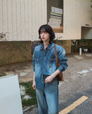 Flood cat brush western denim shirt
