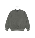 Lutz Pigment Overfit Sweatshirt