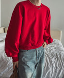 Plain Color Crop Sweatshirt