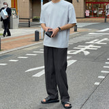 Summer Nylon Wide Pants