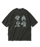 Rough Collie Pigment Short Sleeve T-shirt