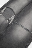 Freeze destroyed gray denim pants