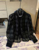 Mitchell Velvet See-Through Puff Blouse