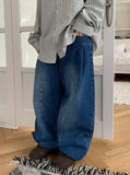 Tele Side Pintuck Wide Denim Pants
