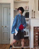 Crystal Overfit Crop Shirt