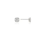 Essence Silver (W) Moissanite Floria Earrings
