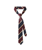 [LAN ARCHIVE] Schooled stripe mold tie