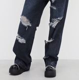 (Unisex) Teren Damage Pants