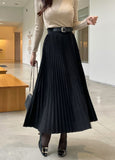 Colby Suede Belt Banding Pleated Skirt