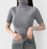 Neck Polar Slim Fit Short Sleeve Inner T-Shirt
