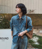 Flood cat brush western denim shirt