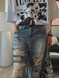 Funky Damage Wide Denim Pants