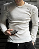 Muscle Fit Raglan Ribbed Knit