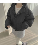 Matte Hood High-Neck Short Padding