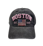 Boston pig washing ball cap