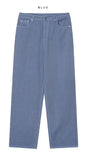 Wilt Pigment Wide Cotton Pants