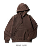 Predict Pigment Hoodie