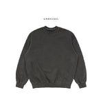 Lutz Pigment Overfit Sweatshirt