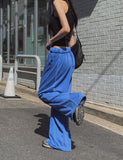 pigment line wide banding pants